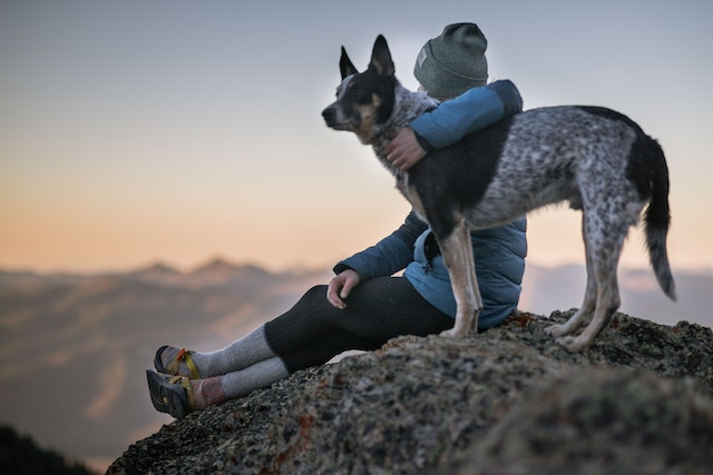 podróżowanie z psem w góry